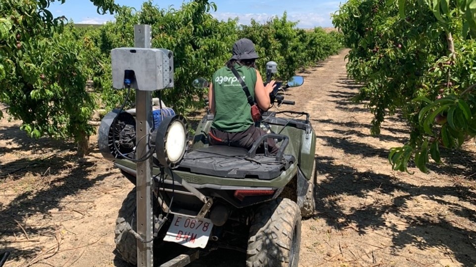 irta cosecha vision artificial